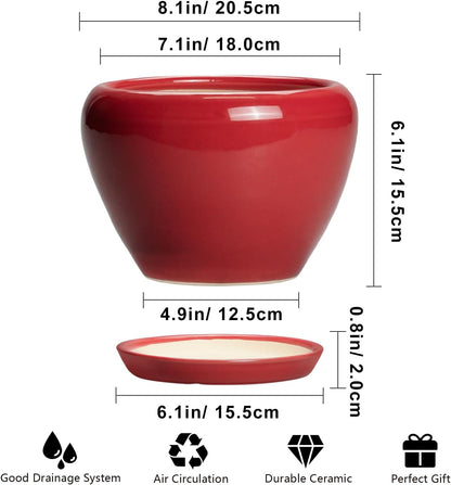Ceramic Modern Glaze Succulent Planter Pot with Drainage Hole and Saucer 6 Inch Round Flower Plant Pot for Indoor Outdoor Herb Snake Plants