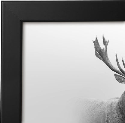 Americanflat 16x20 Picture Frame with Polished Plexiglass - Black Picture Frame - Wide Photo Frames Made of Engineered Wood for Vertical or Horizontal Wall Display - Epic Collection - Black - Colors C