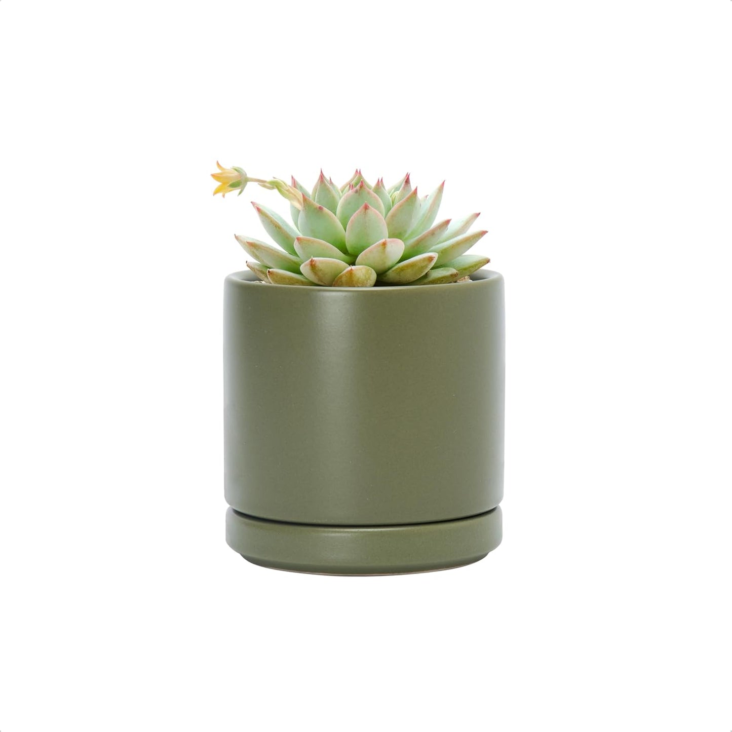 D'vine Dev 6.5 Inch Ceramic Planter Pot with Drainage Hole and Saucer, Indoor Cylinder Round Planter Pot, Olive, 94-O-C-J