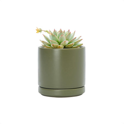 D'vine Dev 6.5 Inch Ceramic Planter Pot with Drainage Hole and Saucer, Indoor Cylinder Round Planter Pot, Olive, 94-O-C-J