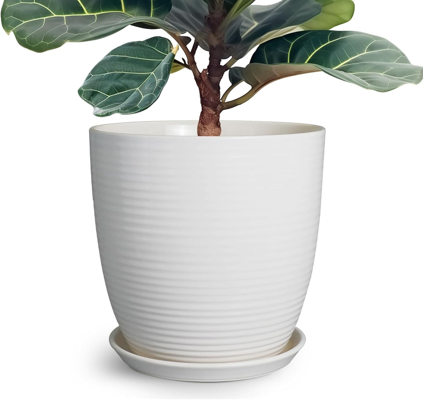 Ceramic Pots for Plants - 6 Inch Plant Pot with Drainage Hole and Saucer, Round Planters for Indoor Outdoor, Flower Pots, Modern Planter, Home Office Room Decor, Gifts for Plant Lovers, White