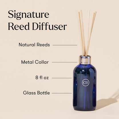 Capri Blue Volcano Reed Diffuser Set - Includes Reed Diffuser Sticks, Fragrance Oil, and Glass Bottle - Luxury Scented Room Freshener - White (8 fl oz)