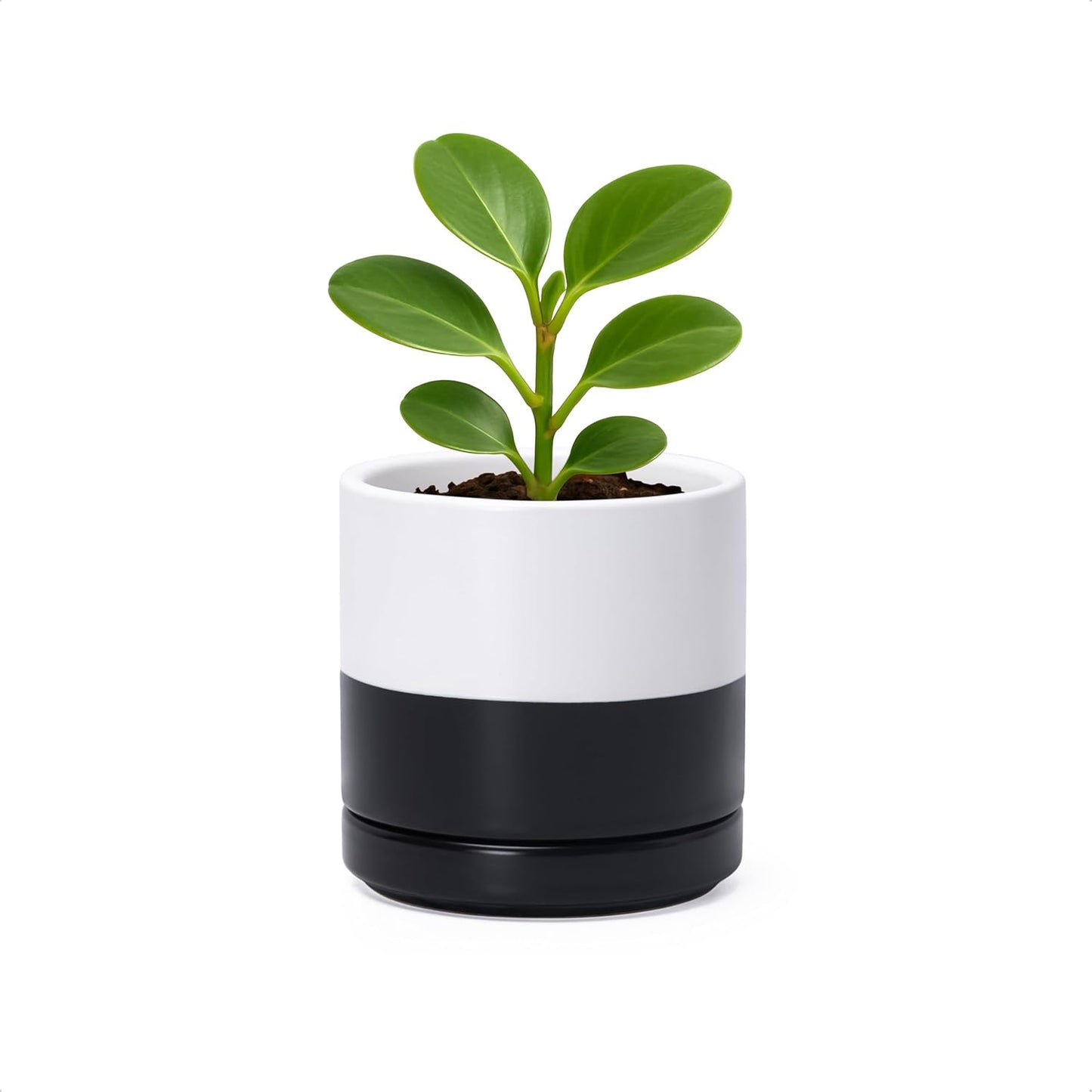 D'vine Dev 6.5 Inch Ceramic Planter Pot with Drainage Hole and Saucer, Indoor Cylinder Round Planter Pot, Olive, 94-O-C-J