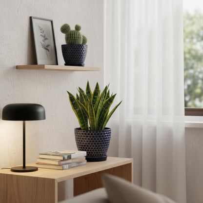 Docrin 3-Pack Ceramic Planters Set - 6.5"+5.3"+4" Dual-Tone Flower Pots with Drainage Holes, Modern Indoor Outdoor Planters for Succulents/Herbs/Large Plants, Home Office (Brownish Black & White)