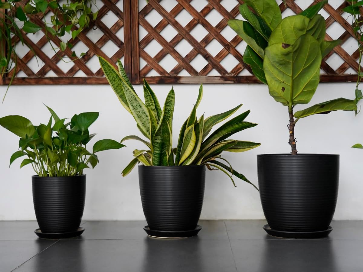 Ceramic Pots for Plants - 6 Inch Plant Pot with Drainage Hole and Saucer, Round Planters for Indoor Outdoor, Flower Pots, Modern Planter, Home Office Room Decor, Gifts for Plant Lovers, White
