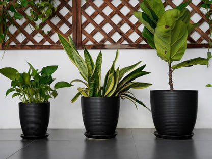 Ceramic Pots for Plants - 6 Inch Plant Pot with Drainage Hole and Saucer, Round Planters for Indoor Outdoor, Flower Pots, Modern Planter, Home Office Room Decor, Gifts for Plant Lovers, White