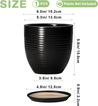 Ceramic Pots for Plants - 6 Inch Plant Pot with Drainage Hole and Saucer, Round Planters for Indoor Outdoor, Flower Pots, Modern Planter, Home Office Room Decor, Gifts for Plant Lovers, White