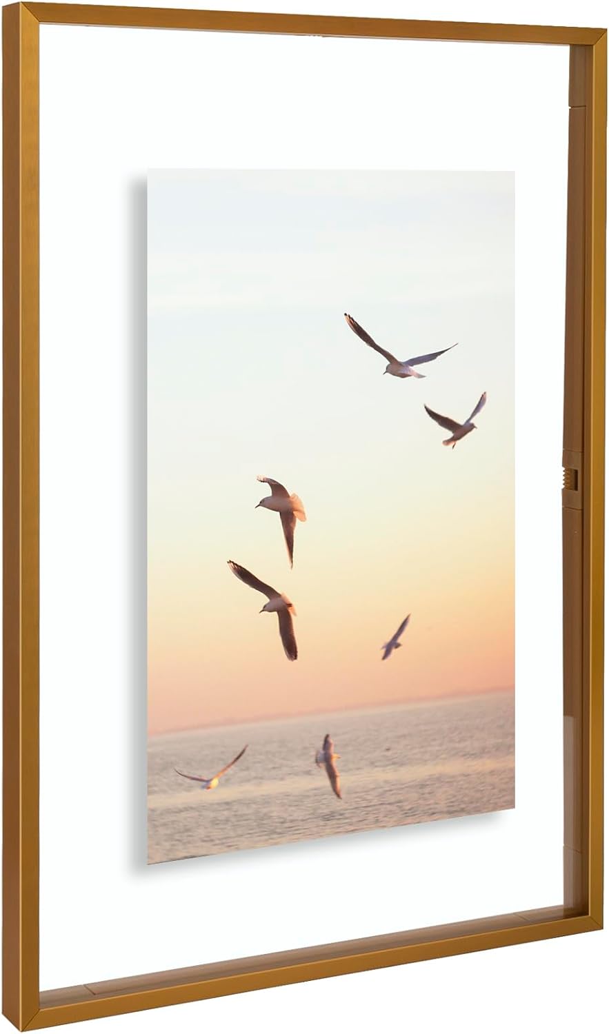 Frametory, Floating Picture Frame 12x16 - Black Aluminum Metal Photo Frame - Real Glass of Front - for Wall Mount Display