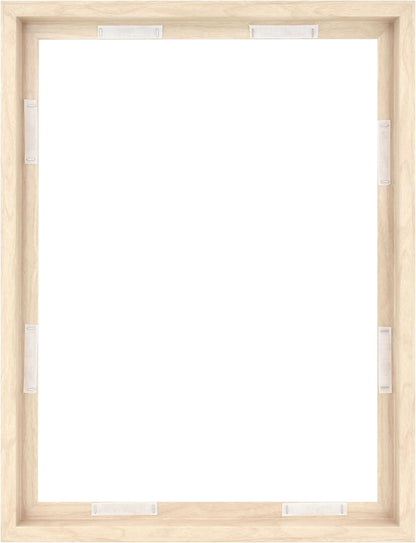 MCS Canvas Float Frames 8x10 Frame, Black Frame for Finished Canvases, Vertical & Horizontal Wall Hanging Frame with Adhesive for Canvas Paintings (1-Pack)