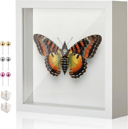 11x14 Shadow Box Display Case Picture Frame with Soft Linen Back, Large Deep Black Shadow Box 11x14 for Flowers Medal Display Case Jersey pet Graduation Memorabilia Baby Ltems Crafts Photos