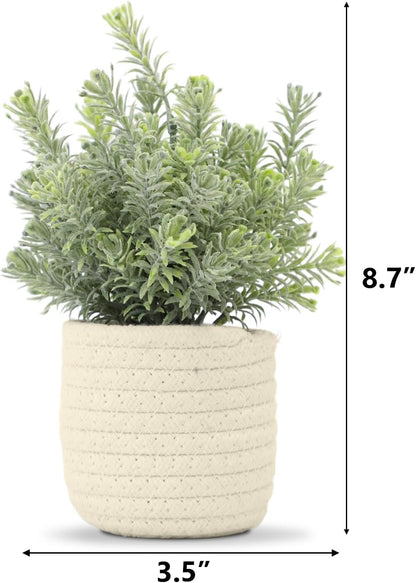 Hopewood Faux Plants, Small Fake Plant for Bathroom, Decorative Artificial Plants for Farmhouse Desk Shelf Decor with A Weave Basket (9.8inch)