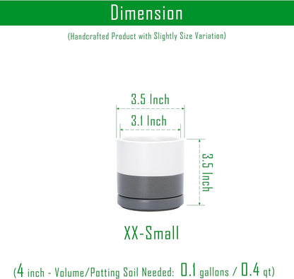 D'vine Dev Set of 2 Plants Pots, 6.5 Inch Ceramic Planter Pot for Plants with Drainage Hole and Saucer, White, 94-V-C-1