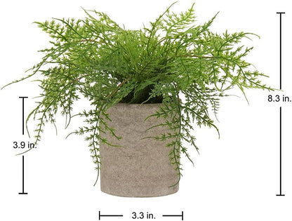 Briful Small Fake Plant Potted Plants Artificial Decor Plastic Asparagus Ferns Plant Faux Plants in Pots for Home Living Room Bedroom Desk Shelf Farmhouse Decoration