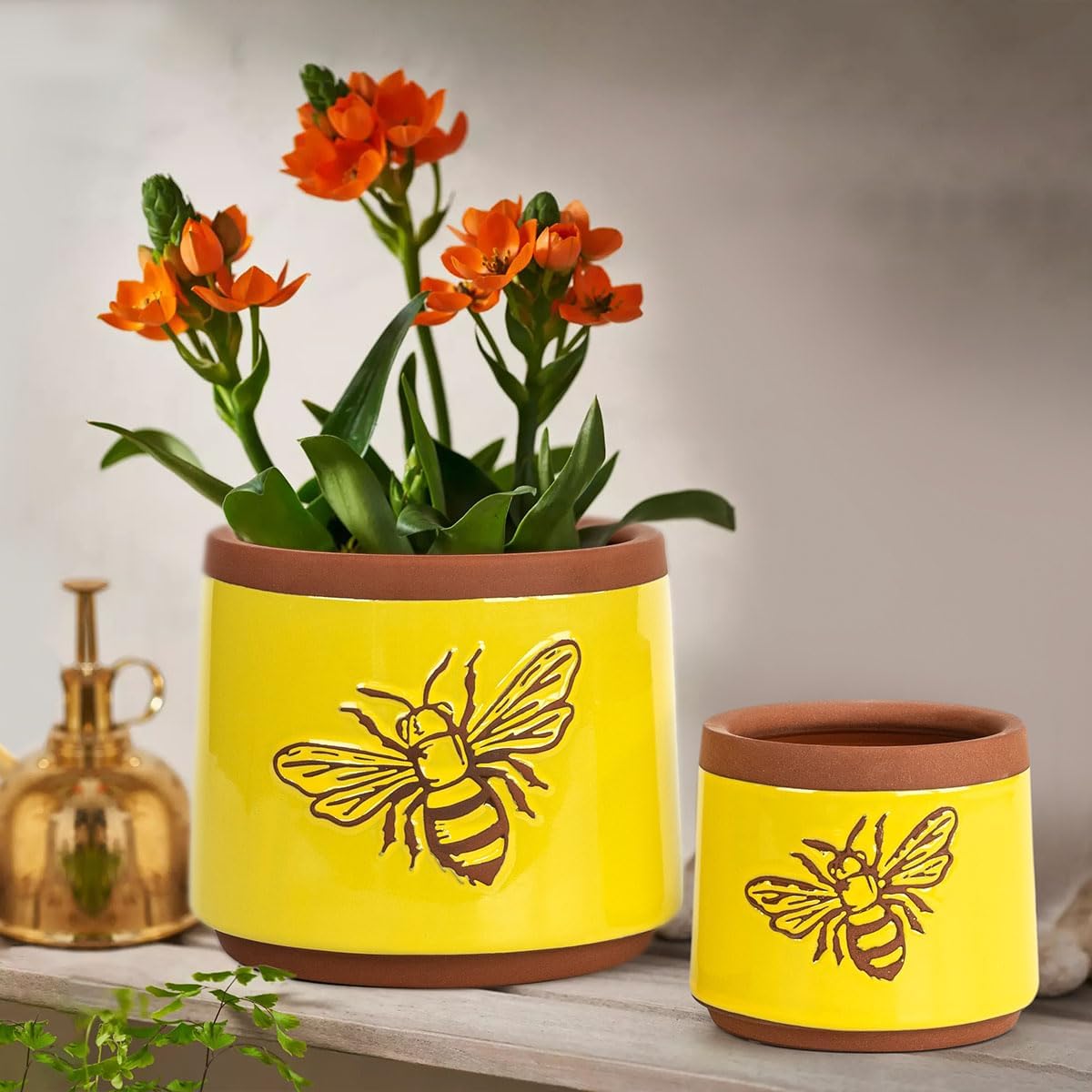 YBX 8 Inch + 6 Inch Ceramic Plant Pots, Succulent Flower Pots with Drainage Holes, Terracotta Planters for Indoor Plants, White&Terracotta (Garden)