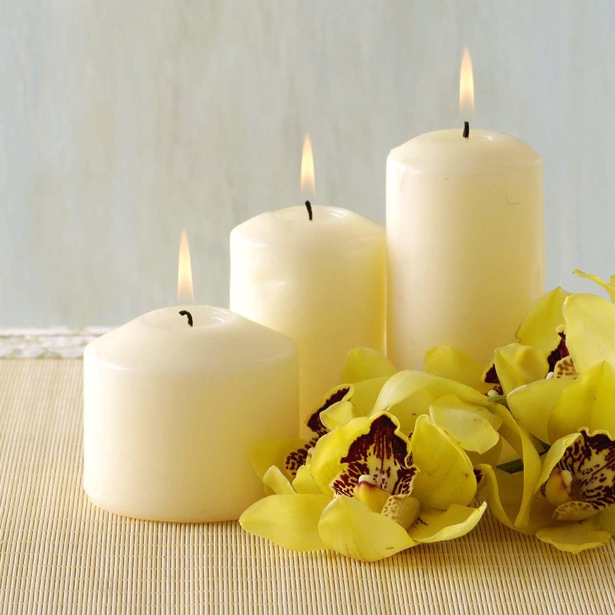 12 Pack Ivory 2x3 Inch Pillar Candles, 22 Hours Unscented Column Candles, Dripless Smokeless Unscented Candles for Home Weddings Restaurant Spa Church and Emergency
