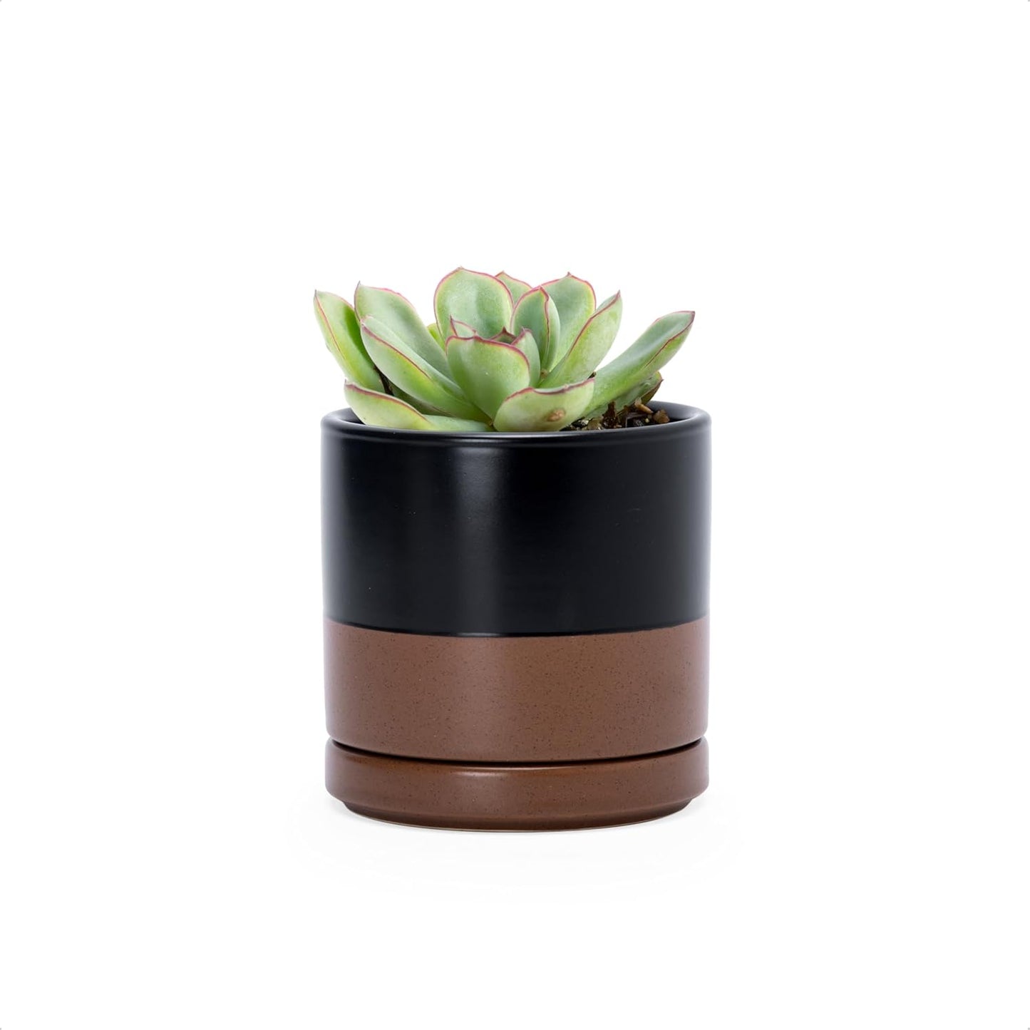 D'vine Dev 6.5 Inch Ceramic Planter Pot with Drainage Hole and Saucer, Indoor Cylinder Round Planter Pot, Olive, 94-O-C-J