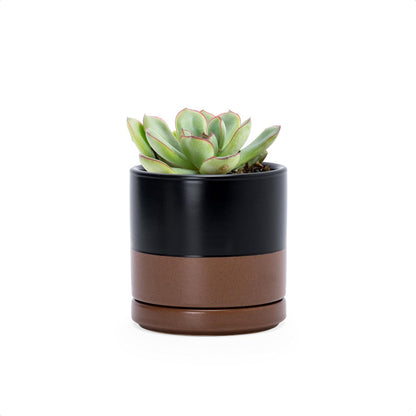 D'vine Dev 6.5 Inch Ceramic Planter Pot with Drainage Hole and Saucer, Indoor Cylinder Round Planter Pot, Olive, 94-O-C-J