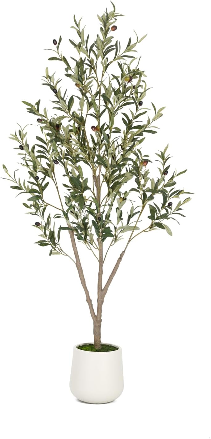 VIVATREES Olive Trees Artificial Indoor, 6FT Tall Faux Olive Tree with White Tall Planter, Artificial Plants with Natural Wood Trunk and Lifelike Fruits for Home Office Decor