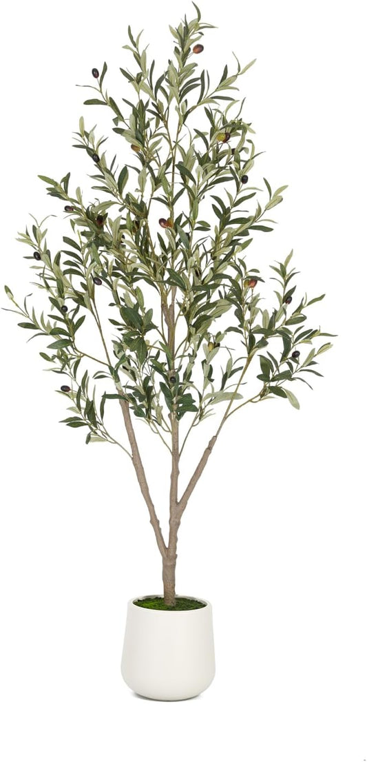VIVATREES Olive Trees Artificial Indoor, 6FT Tall Faux Olive Tree with White Tall Planter, Artificial Plants with Natural Wood Trunk and Lifelike Fruits for Home Office Decor