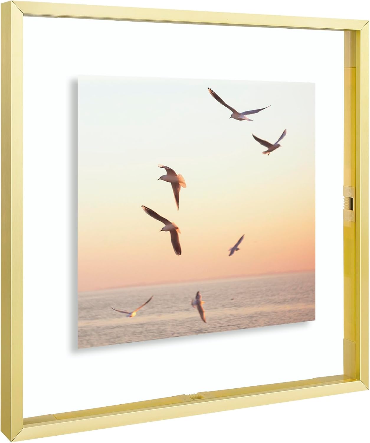 Frametory, Floating Picture Frame 12x16 - Black Aluminum Metal Photo Frame - Real Glass of Front - for Wall Mount Display
