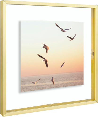 Frametory, Floating Picture Frame 12x16 - Black Aluminum Metal Photo Frame - Real Glass of Front - for Wall Mount Display