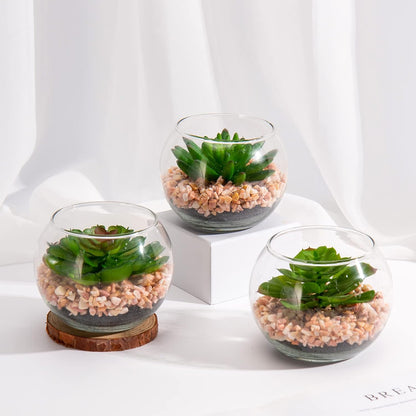 Briful Mini Fake Plants 4 Packs Succuletns Artificial Potted Plants in Cube Glass Vase Faux Succulents for Bathroom Living Room Kitchen Shelf Table Decor