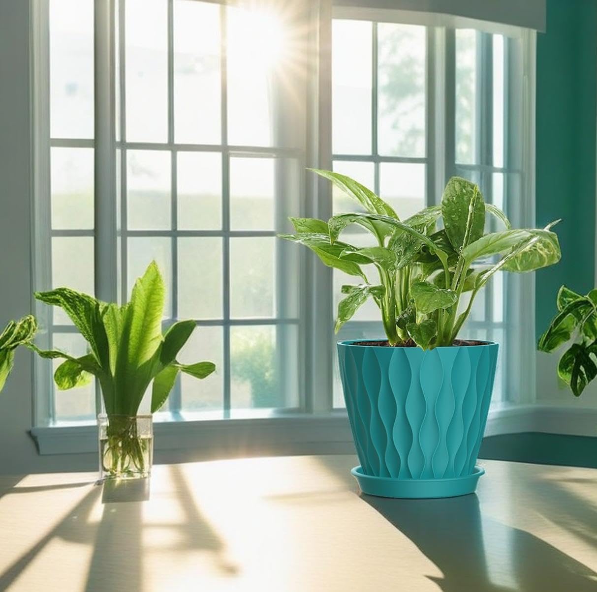 4 Inch Plant Pots, 6 Pack Indoor Flower Pots, Planters with Drainage Holes and Trays for Orchids, Violets, Succulents, Herbs, and Other Plants,Corolful