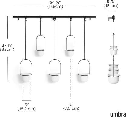 Umbra Triflora Hanging Planter for Window, Indoor Herb Garden, Set of 3, White/Black