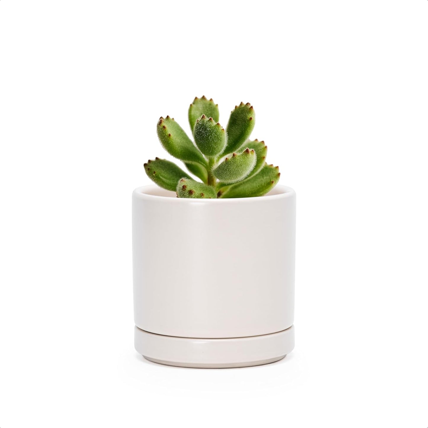 D'vine Dev 6.5 Inch Ceramic Planter Pot with Drainage Hole and Saucer, Indoor Cylinder Round Planter Pot, Olive, 94-O-C-J