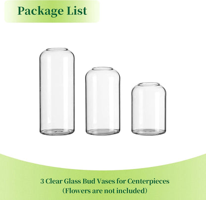 Glass Bud Vases for Flowers - Hewory Blown Modern Small Glass Vases for Centerpieces Set of 12, Mini Clear Bulk Flower Vases for Wedding Party Events Home Decor Floral Arrangement (Not Include Flower)