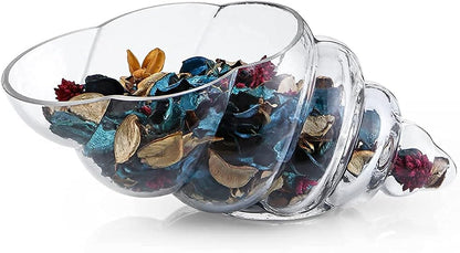 MDLUU Glass Shell Vase, 11-Inch Seashell Potpourri Holder, Large Decorative Conch Bowl for Shell Collection Display, Sea Glass, Air Plant