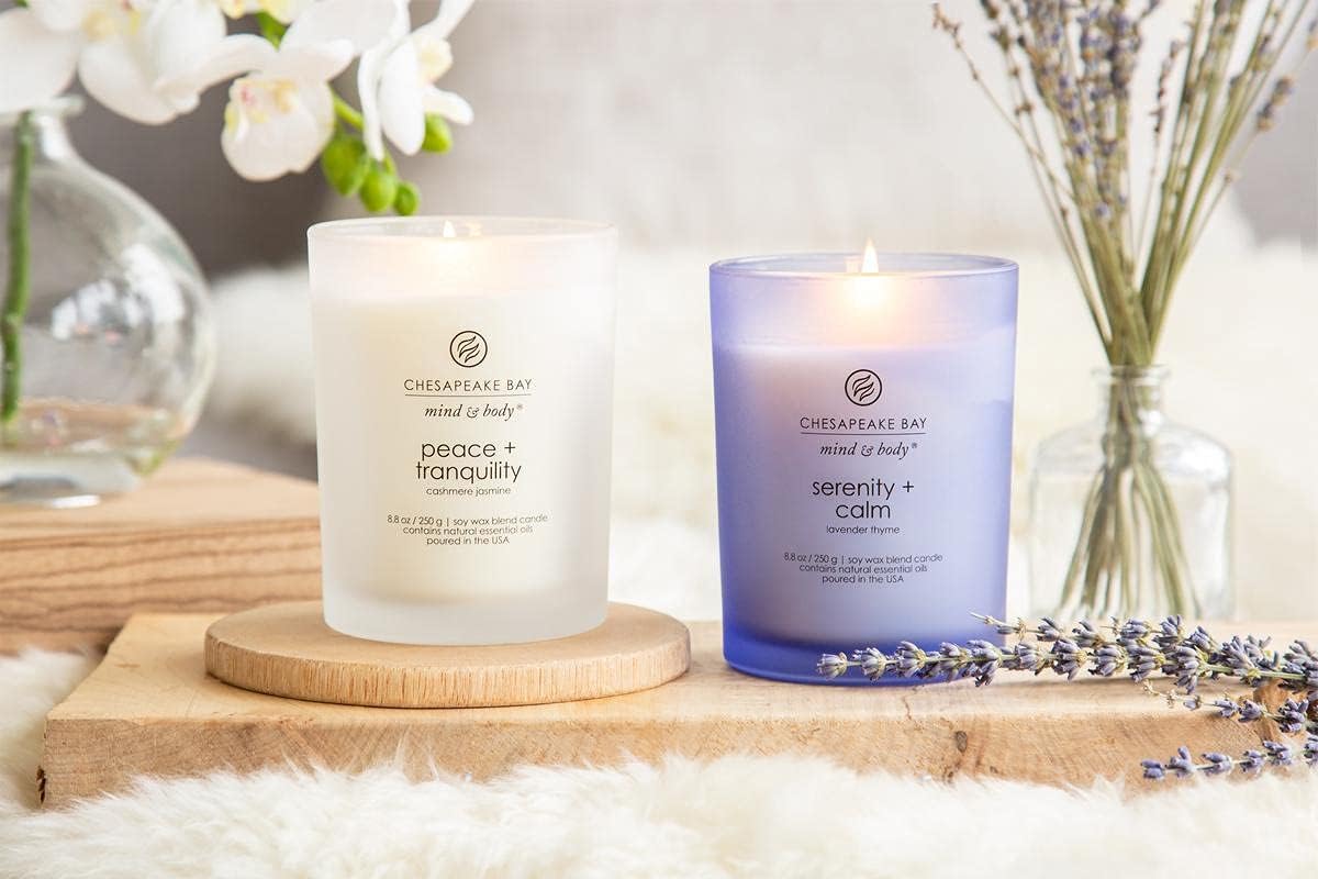 Chesapeake Bay Candle PT40886 Scented Candle Awaken + Invigorate (Lemongrass Eucalyptus) Medium Green Home Décor