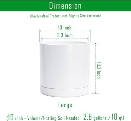 D'vine Dev Set of 2 Plants Pots, 6.5 Inch Ceramic Planter Pot for Plants with Drainage Hole and Saucer, White, 94-V-C-1