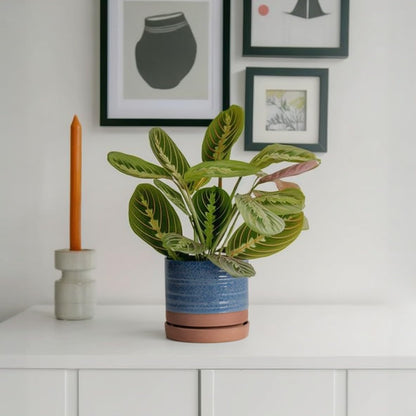 HERDUK 6 Inch Plant Pots, Ceramic Planter Pot with Drainage Hole & Saucer, Indoor/Outdoor Cylinder Round Planter Pot, Green & Beige