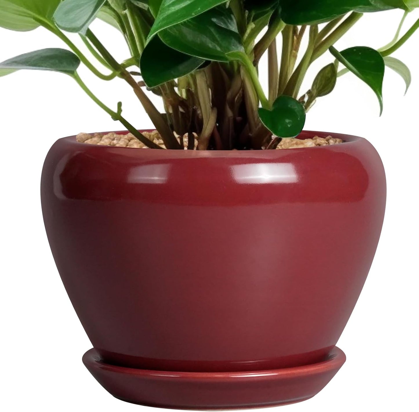 Ceramic Modern Glaze Succulent Planter Pot with Drainage Hole and Saucer 6 Inch Round Flower Plant Pot for Indoor Outdoor Herb Snake Plants