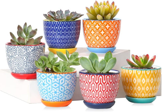Selamica Ceramic Plant Pots, 5.6 Inch Flower Pots for Indoor Plants, Planters with Drainage Hole and Saucer, Garden Pots for Succulent, Orchid, Home Decor, Set of 4, Assorted Colors