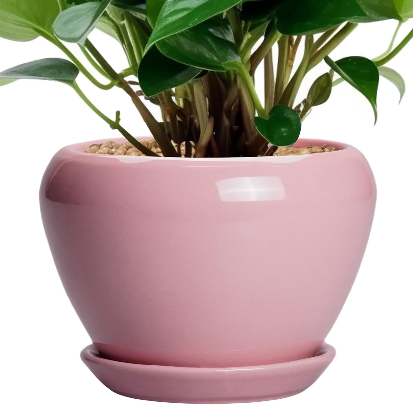 Ceramic Modern Glaze Succulent Planter Pot with Drainage Hole and Saucer 6 Inch Round Flower Plant Pot for Indoor Outdoor Herb Snake Plants