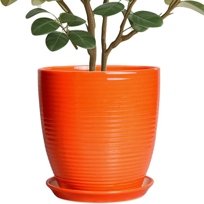 Ceramic Pots for Plants - 6 Inch Plant Pot with Drainage Hole and Saucer, Round Planters for Indoor Outdoor, Flower Pots, Modern Planter, Home Office Room Decor, Gifts for Plant Lovers, White