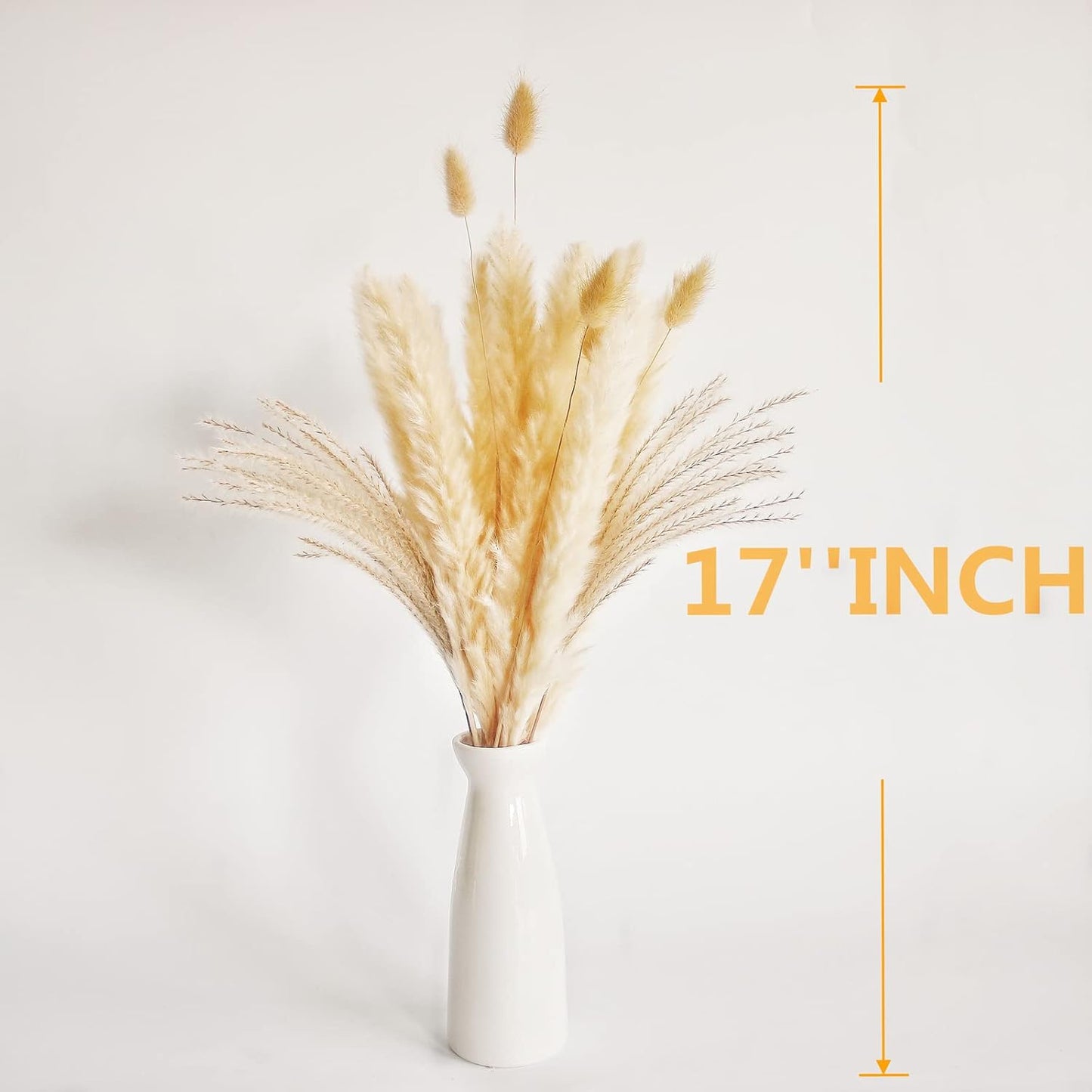 65PCS Pampas Grass Decor, Including pompas Floral, Reed Dried Grass and Bunny Tails Dried Flowers, Natural Dried Pampas Grass Bouquet for Boho Decor Wedding, Home Decoration