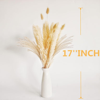 65PCS Pampas Grass Decor, Including pompas Floral, Reed Dried Grass and Bunny Tails Dried Flowers, Natural Dried Pampas Grass Bouquet for Boho Decor Wedding, Home Decoration