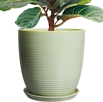 Ceramic Pots for Plants - 6 Inch Plant Pot with Drainage Hole and Saucer, Round Planters for Indoor Outdoor, Flower Pots, Modern Planter, Home Office Room Decor, Gifts for Plant Lovers, White