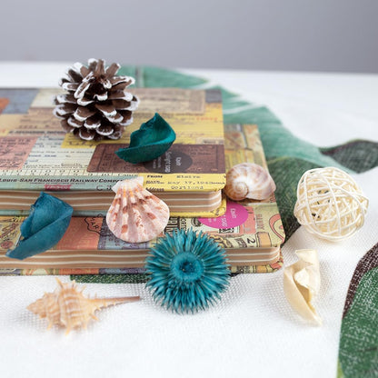 DomeStar Sea Shell Potpourri Bag, Ocean Breeze Scented Dried Flower Potpourri Bowl Filler, Turquoise Vase Filler, Home Fragrance Sachet Petal, Seashell Beach Coastal Bathroom Decor