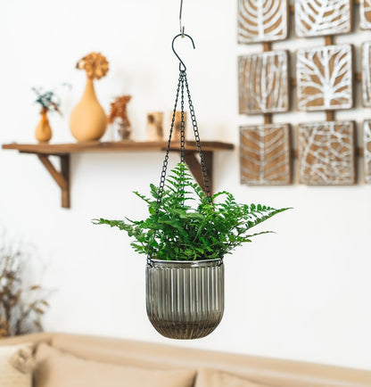 Melphoe 2 Pack Self Watering Hanging Planters Indoor Flower Pots, 6.5 Inch Outdoor Hanging Basket, Plant Hanger with 3Hooks Drainage Holes for Garden Home (Emerald)