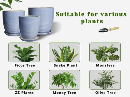 Ceramic Pots for Plants - 6 Inch Plant Pot with Drainage Hole and Saucer, Round Planters for Indoor Outdoor, Flower Pots, Modern Planter, Home Office Room Decor, Gifts for Plant Lovers, White