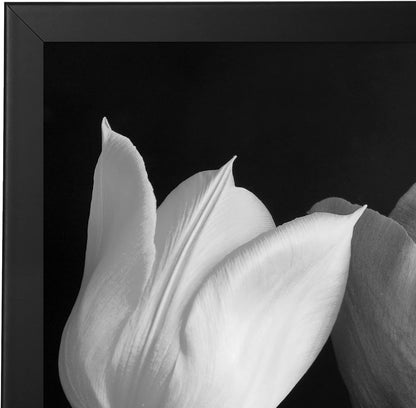 Americanflat 16x20 Picture Frame with Polished Plexiglass - Black Picture Frame - Wide Photo Frames Made of Engineered Wood for Vertical or Horizontal Wall Display - Epic Collection - Black - Colors B