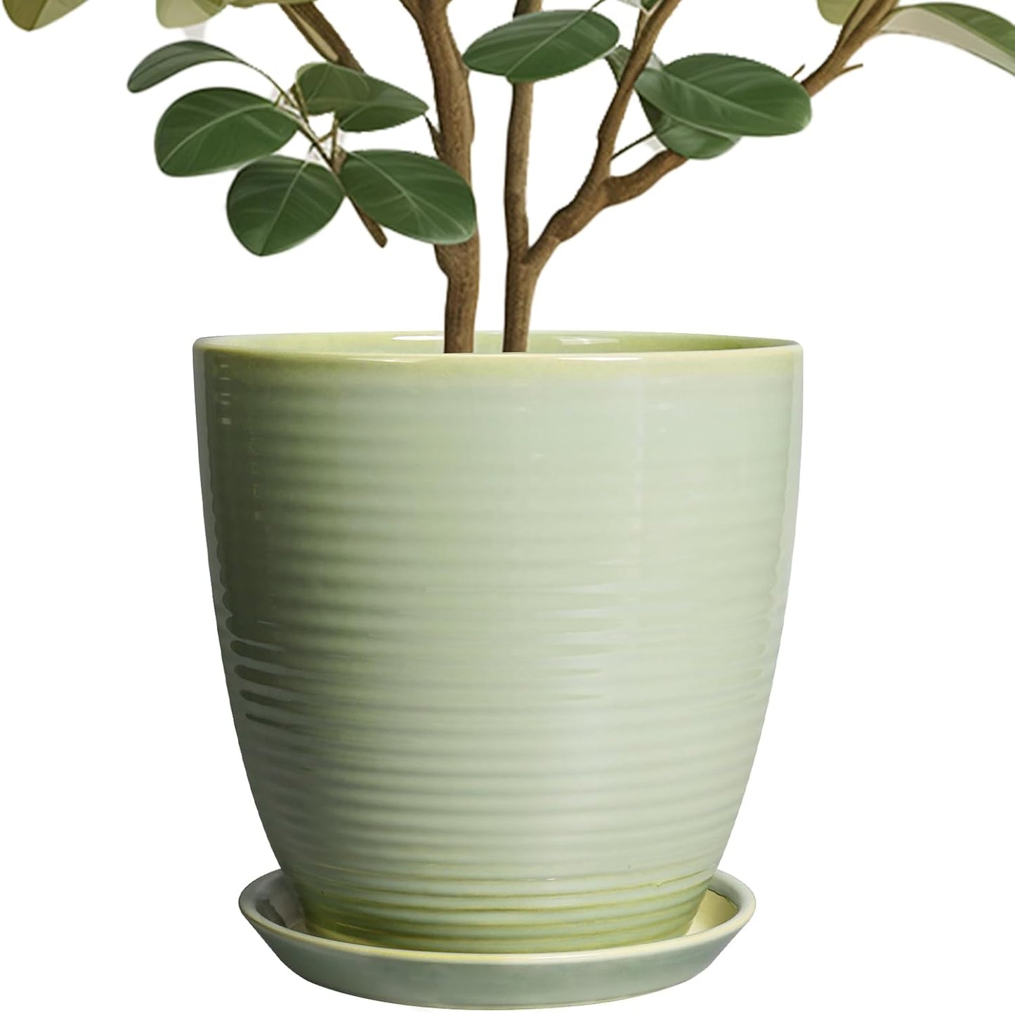 Ceramic Pots for Plants - 6 Inch Plant Pot with Drainage Hole and Saucer, Round Planters for Indoor Outdoor, Flower Pots, Modern Planter, Home Office Room Decor, Gifts for Plant Lovers, White