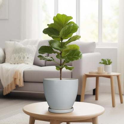 10 Inch Ceramic Planter Pot Round Plant Pot for Indoor Plants Outdoor Large Flower Pot with Drainage Hole and Saucer Blue
