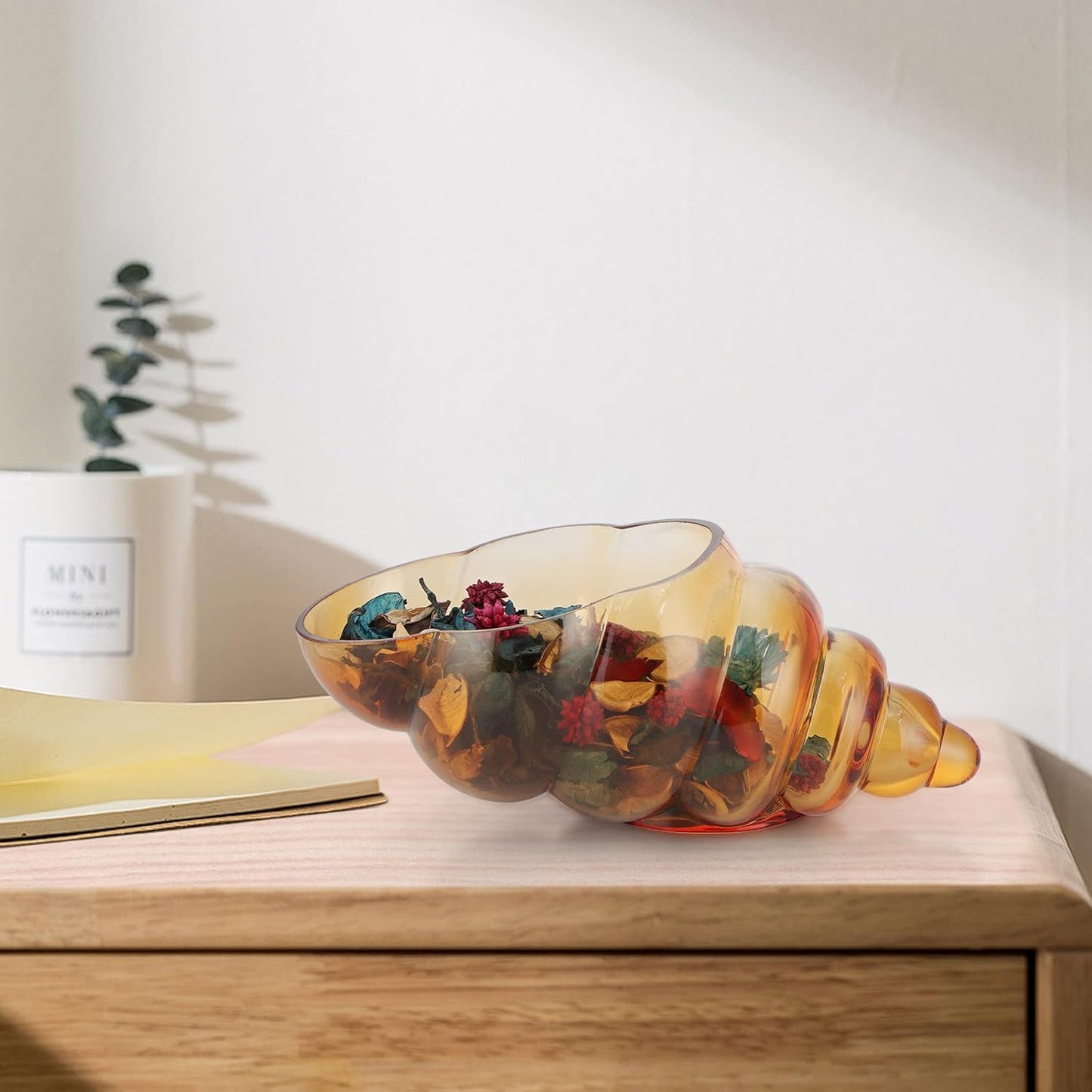 MDLUU Glass Shell Vase, 11-Inch Seashell Potpourri Holder, Large Decorative Conch Bowl for Shell Collection Display, Sea Glass, Air Plant