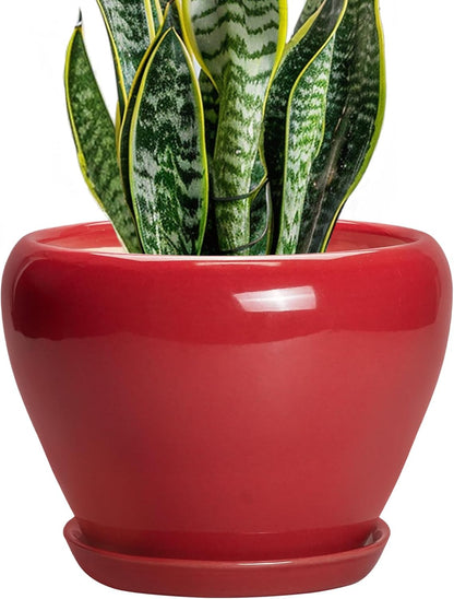 Ceramic Modern Glaze Succulent Planter Pot with Drainage Hole and Saucer 6 Inch Round Flower Plant Pot for Indoor Outdoor Herb Snake Plants