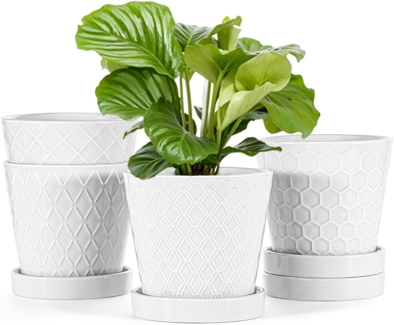 EFISPSS Flower Planter –5 inch Ceramic Plant Pots with Drainage Hole and Ceramic Tray - Gardening Home Desktop Office Windowsill Decoration Gift Set of 4 - Plants NOT Included